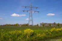 Polder Rijnenburg