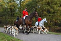 Sint Hubertus slipjacht - Landgoed Den Treek - Leusden