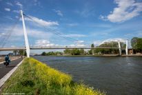Dafne Schippersbrug