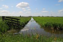 Polder Rijnenburg