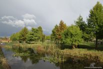 Máximapark