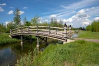 Japanse brug - Máximapark
