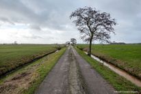 Ringkade Polder Rijnenburg