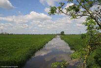 Polder Rijnenburg