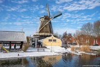 Houtzaagmolen De Ster - Utrecht